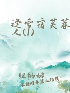 逢雪宿芙蓉山主人(1)