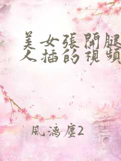 美女张开腿让男人插的视频