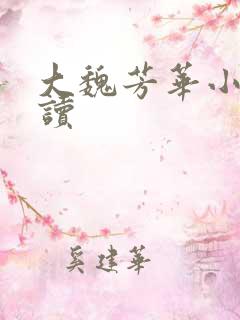 大魏芳华小说阅读