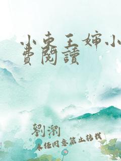 小东王婶小说免费阅读