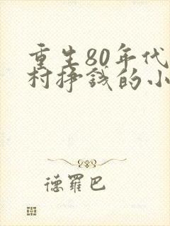 重生80年代农村挣钱的小说