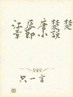 江辰唐楚楚最新章节小说