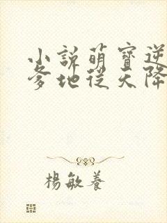 小说萌宝逆天:爹地从天降