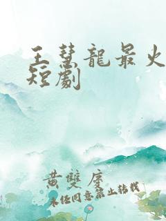 王慧龙最火十部短剧