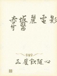 赤坂丽电影姐妹牙医