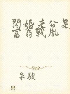 闪婚老公是亿万富翁战胤