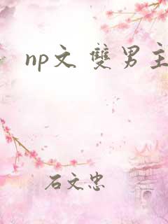np文 双男主
