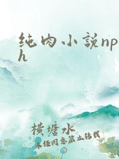 纯肉小说np高h