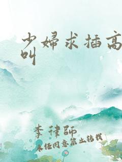 少妇求插高潮骚叫