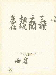 万相之王 小说在线阅读