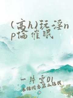 (高h)玩淫np伦催眠