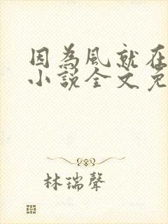 因为风就在那里小说全文免费阅读