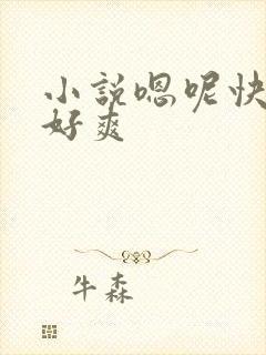 小说嗯呢快点…好爽