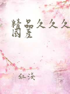 精品久久久久久国产