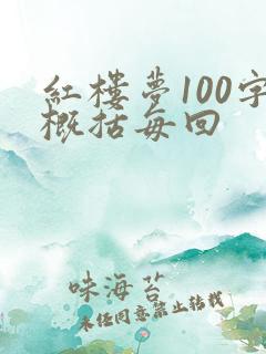 红楼梦100字概括每回
