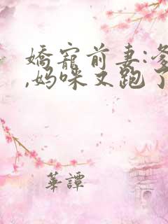 娇宠前妻:爹地,妈咪又跑了