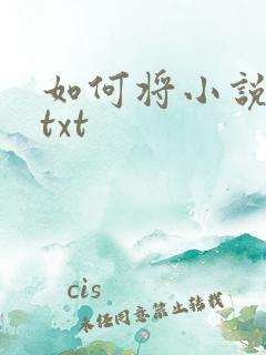 如何将小说转为txt