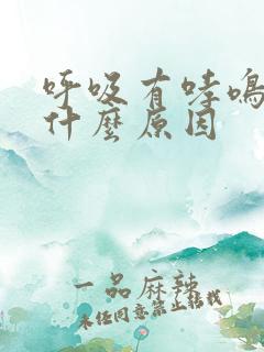 呼吸有哮鸣音是什么原因