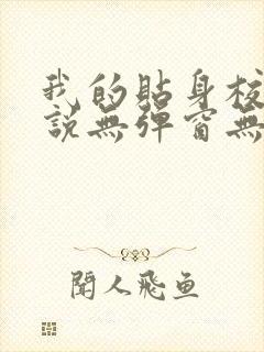 我的贴身校花小说无弹窗无广告