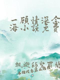 一顾情深念念似海小说免费阅读