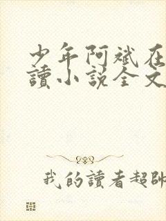 少年阿斌在线阅读小说全文免费