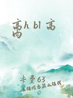 高h bl 高肉