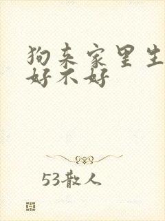 狗来家里生小狗好不好