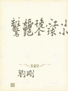 离婚后,江小姐惊艳全球小说大结局