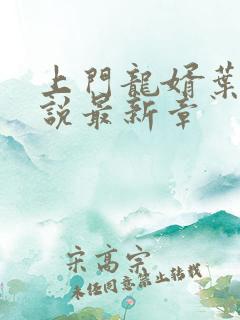 上门龙婿叶辰小说最新章