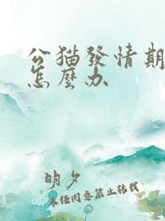 公猫发情期乱尿怎么办