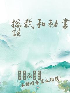 总裁和秘书的小说
