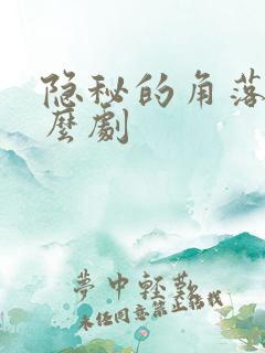 隐秘的角落是什么剧