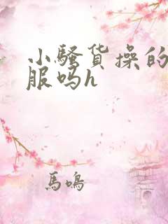 小骚货操的你舒服吗h