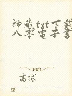 神藏txt下载八零电子书