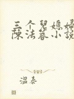 三个儿媳妇陈红陈法蓉小说