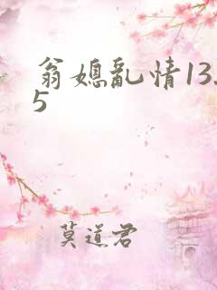 翁媳乱情13.5