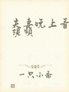 夫妻晚上看的小视频