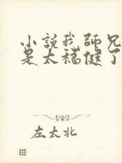 小说我师兄实在是太稳健了