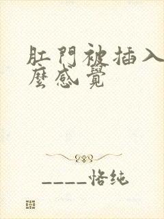 肛门被插入是什么感觉