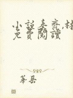 小说秦齐,林洁免费阅读