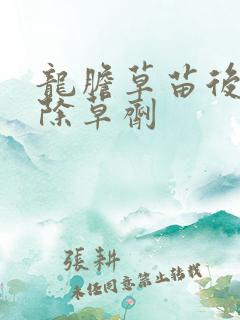 龙胆草苗后专用除草剂