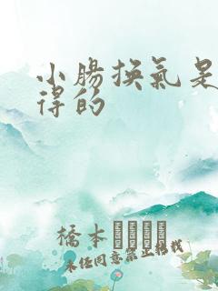 小肠换气是怎么得的