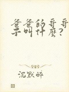 爸爸的哥哥的儿子叫什么?