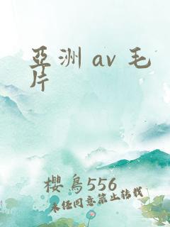 亚洲 av 毛片