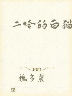 二哈的白猫师尊