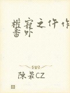 权宠之仵作医妃番外