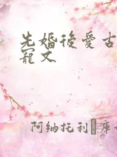 先婚后爱古言甜宠文