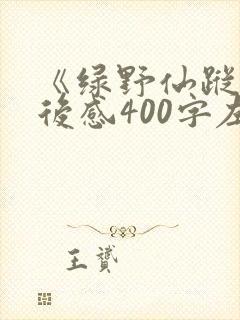 《绿野仙踪》读后感400字左右