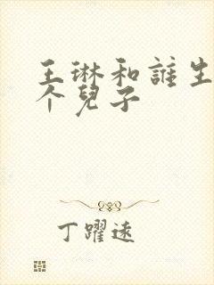 王琳和谁生了一个儿子