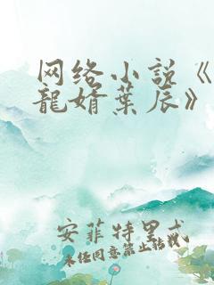 网络小说《上门龙婿叶辰》 网络小说《上门龙婿叶辰》